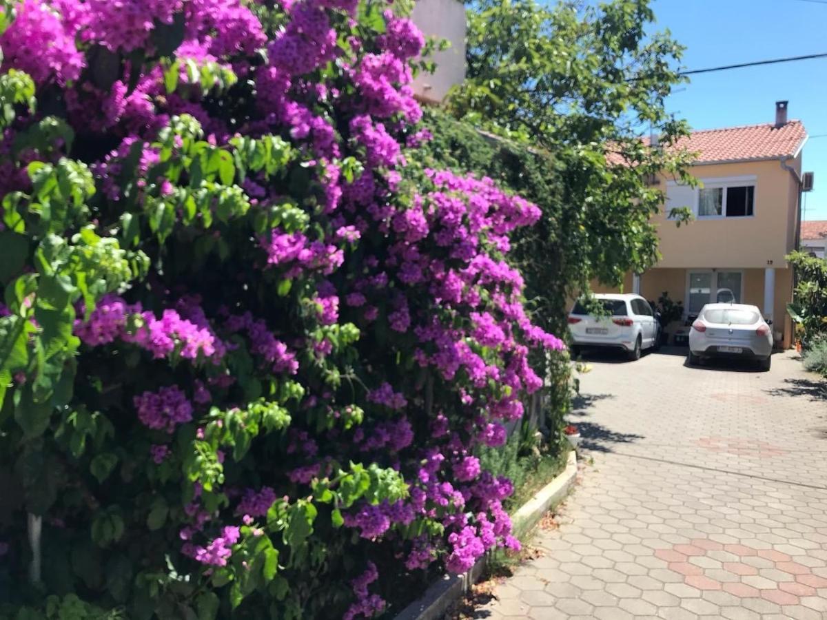 Lipo Je Apartment Zadar Exterior photo